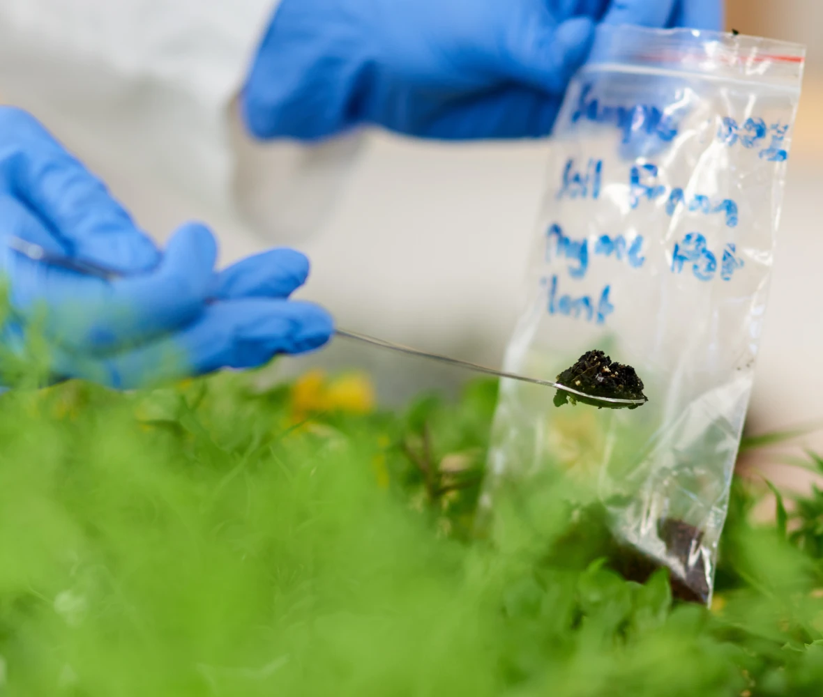 Microbial Contamination Screening